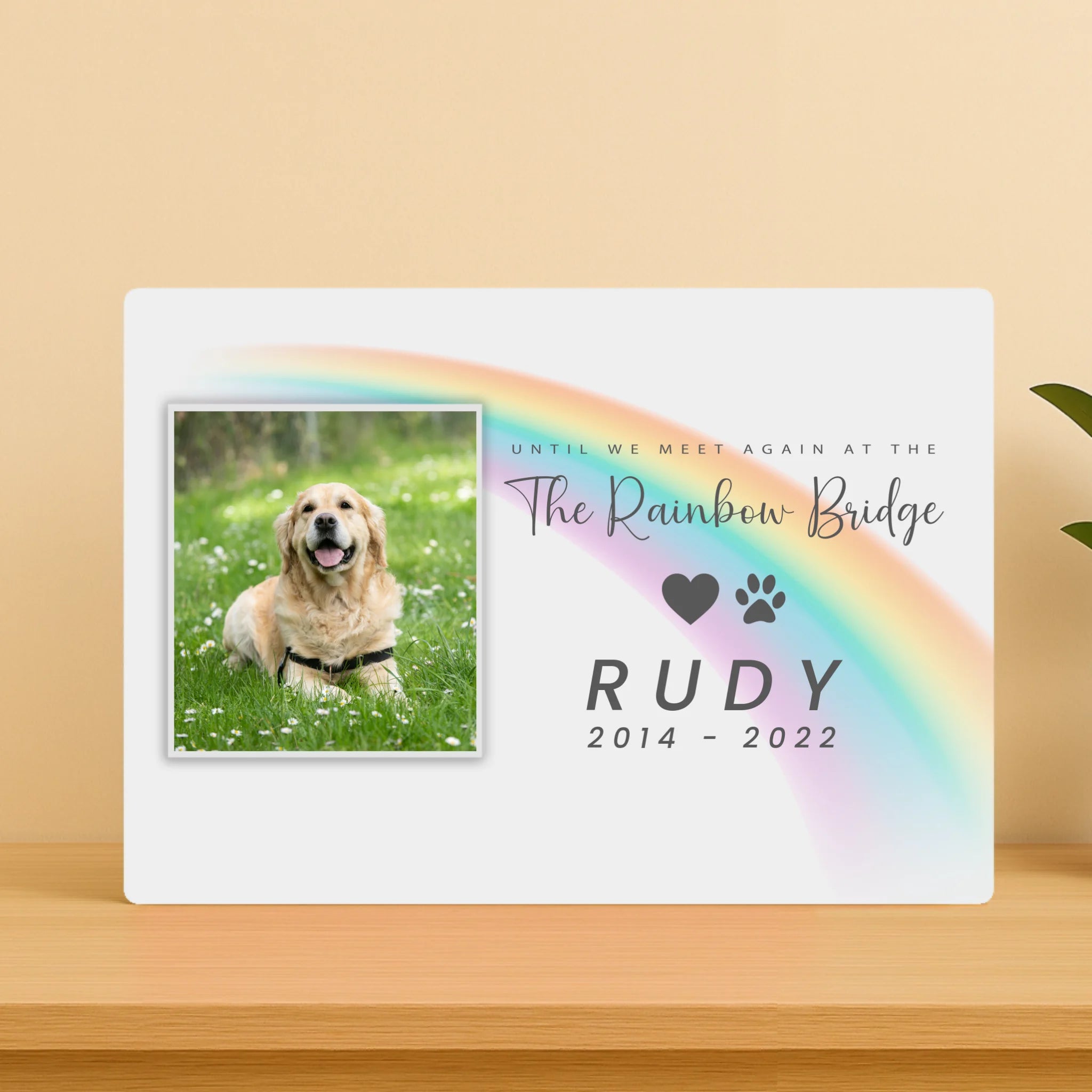 Pet Memorial Metal Photo Panel – Custom Name & 1 Photo - “Until We Meet Again at the Rainbow Bridge”