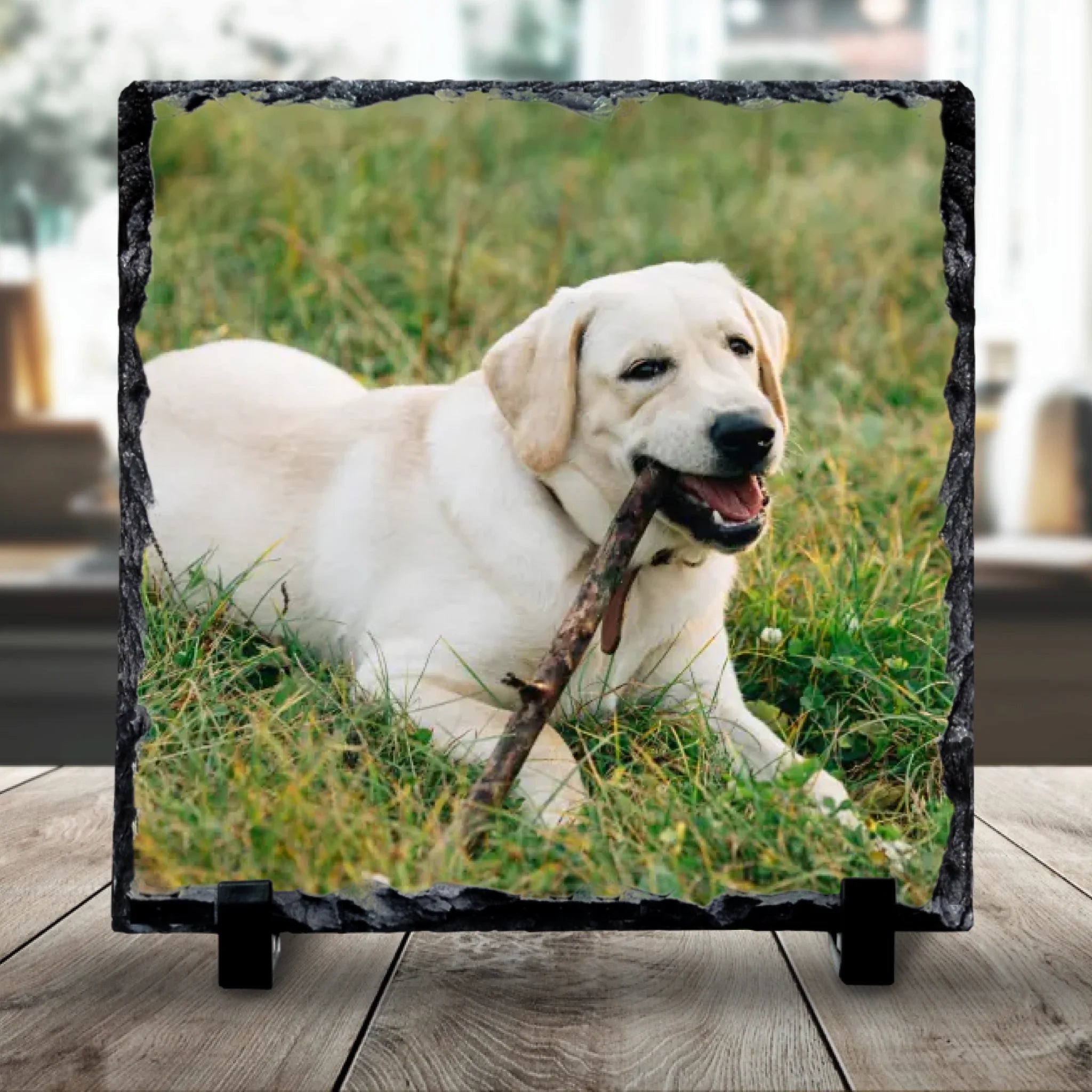 Custom Personalised Photo Slate With Pet Photo