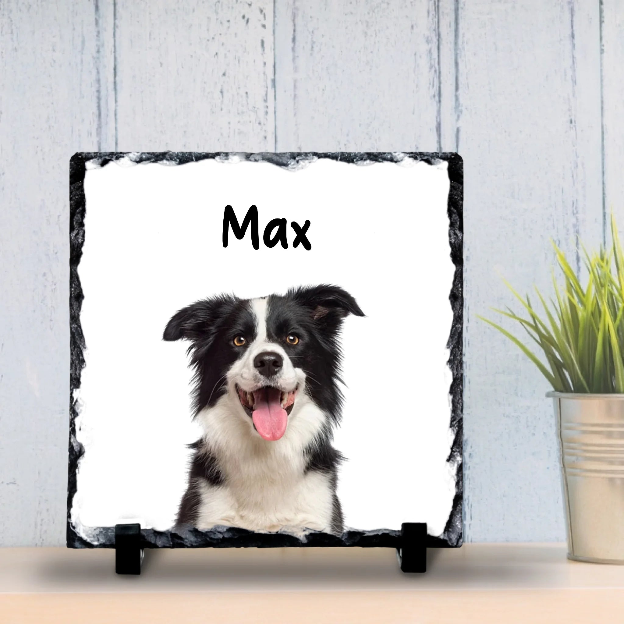Personalised Pet Portrait Slate – Upload Your Dog’s Photo, Change Name & Background Colour