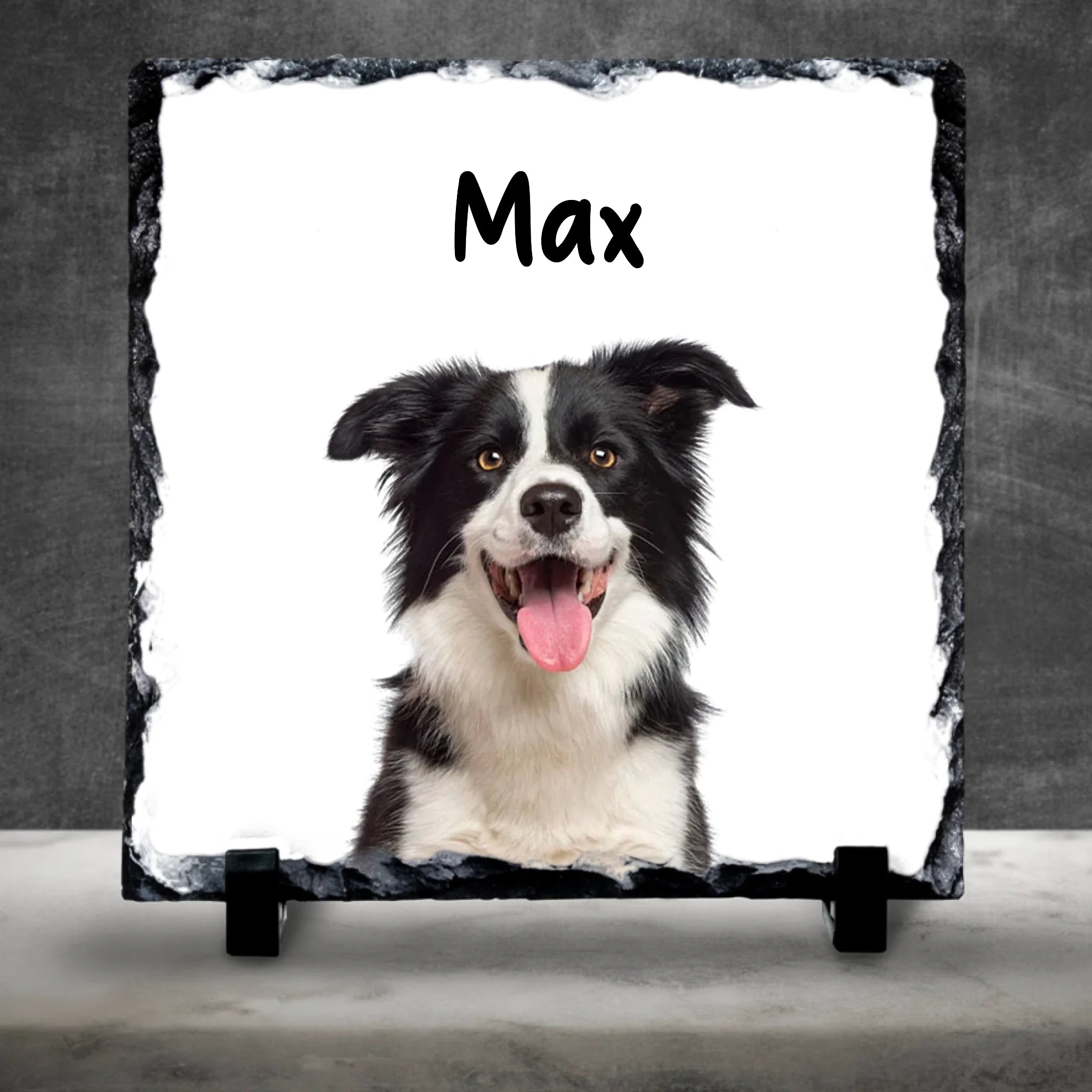 Personalised Pet Portrait Slate – Upload Your Dog’s Photo, Change Name & Background Colour