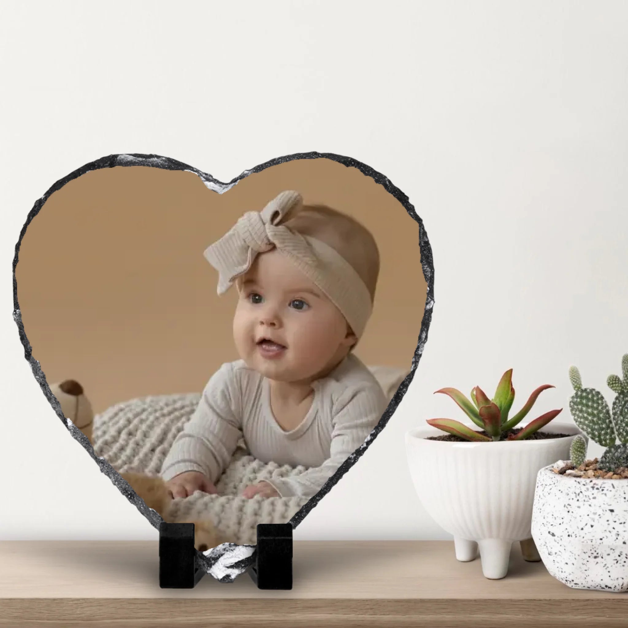 small-cacti-with-white-wall-background