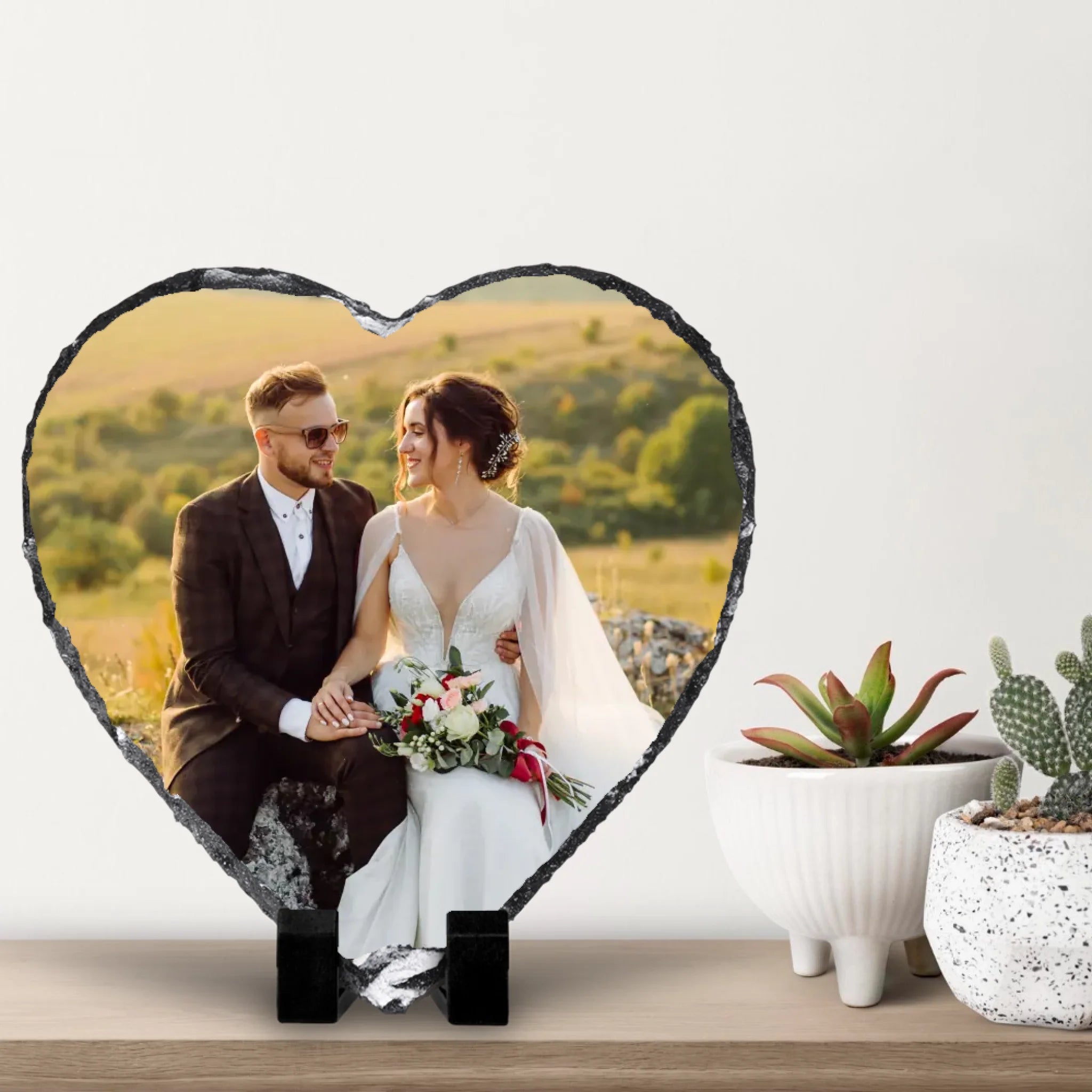 small-cacti-with-white-wall-background