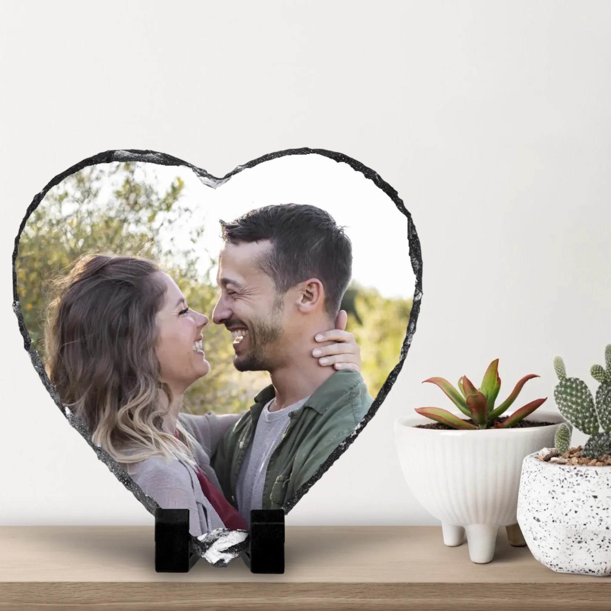 small-cacti-with-white-wall-background