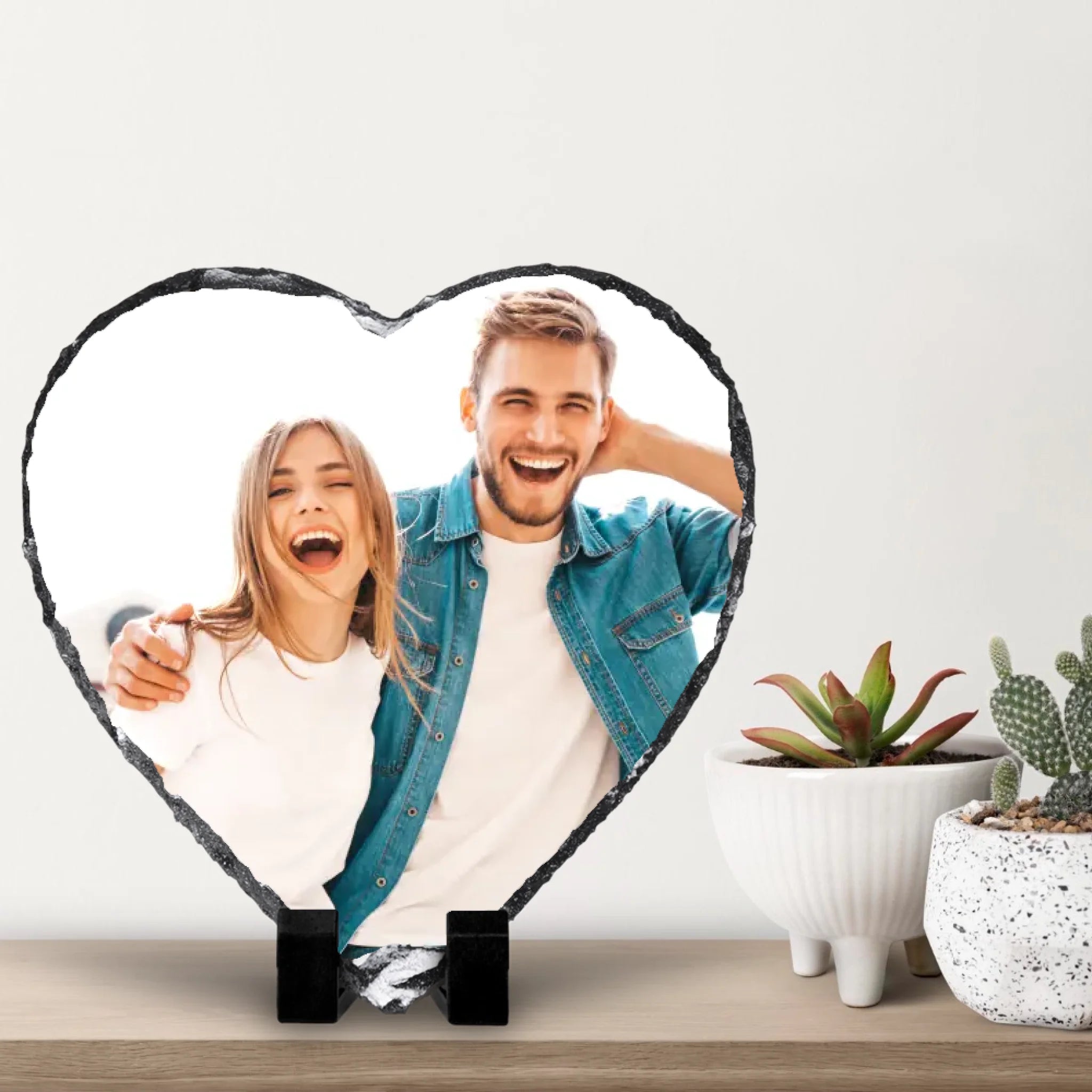 small-cacti-with-white-wall-background