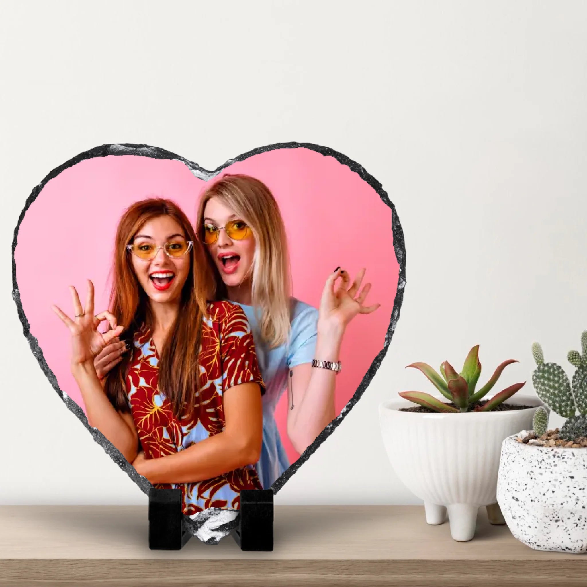 small-cacti-with-white-wall-background