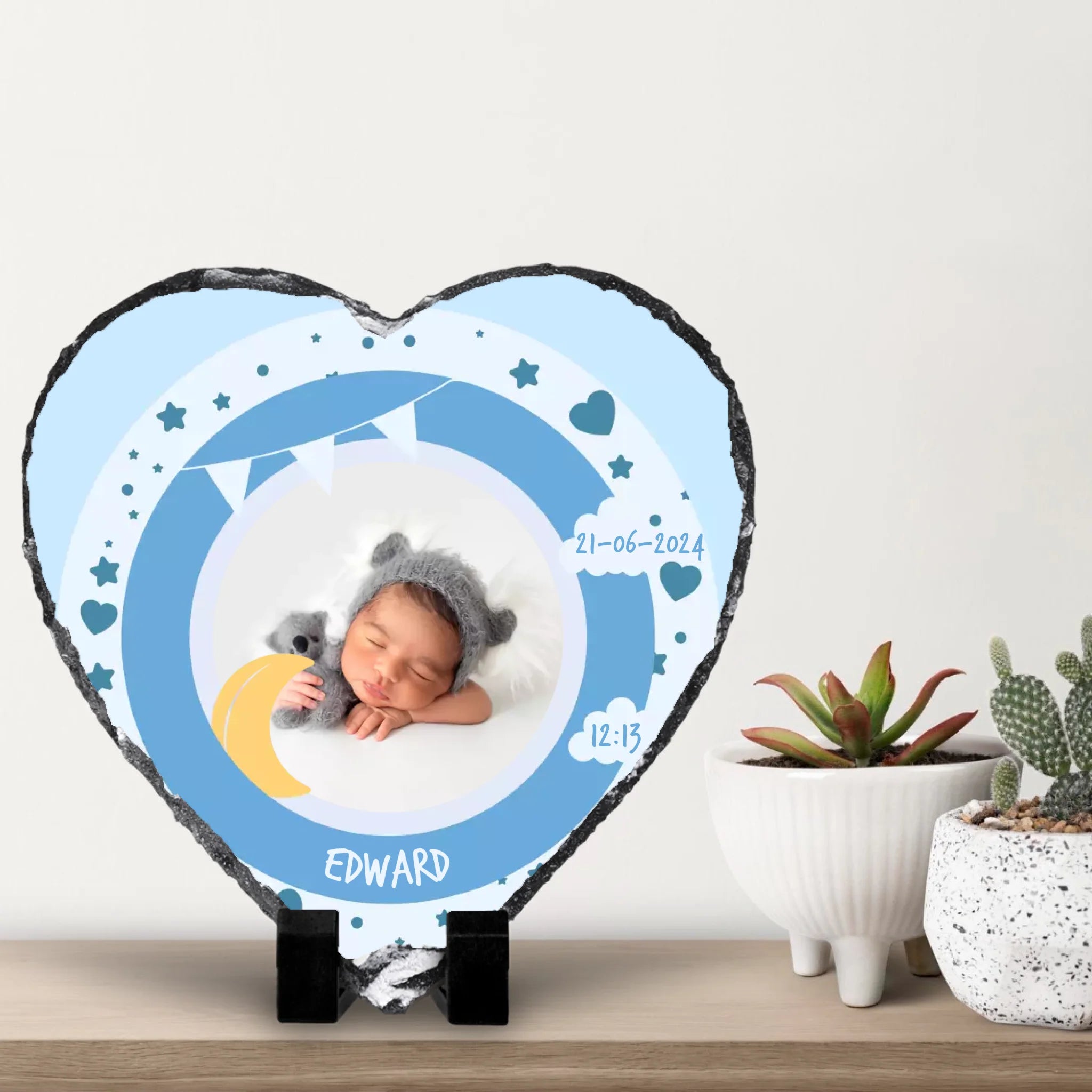 small-cacti-with-white-wall-background