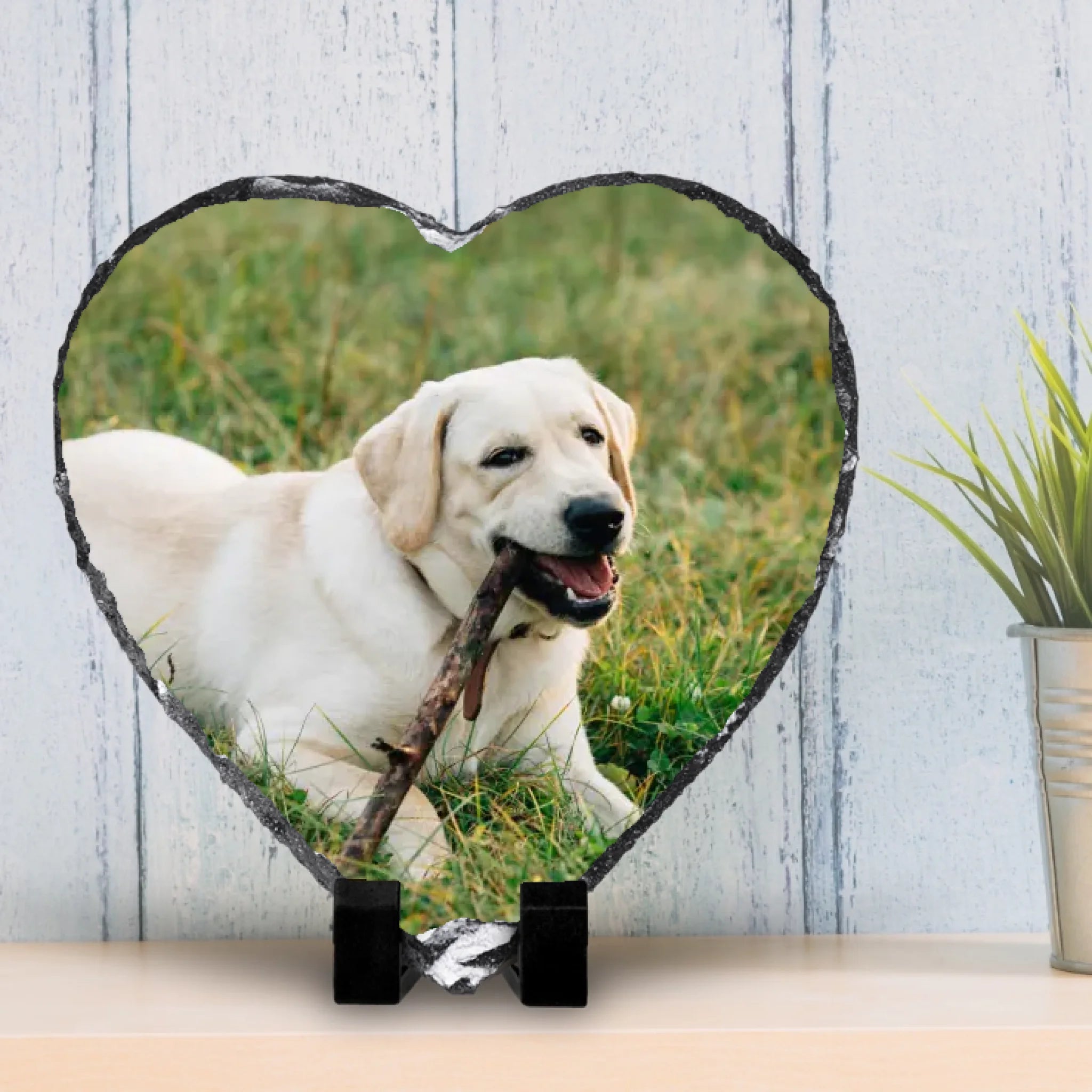 vase-flower-decoration-interior