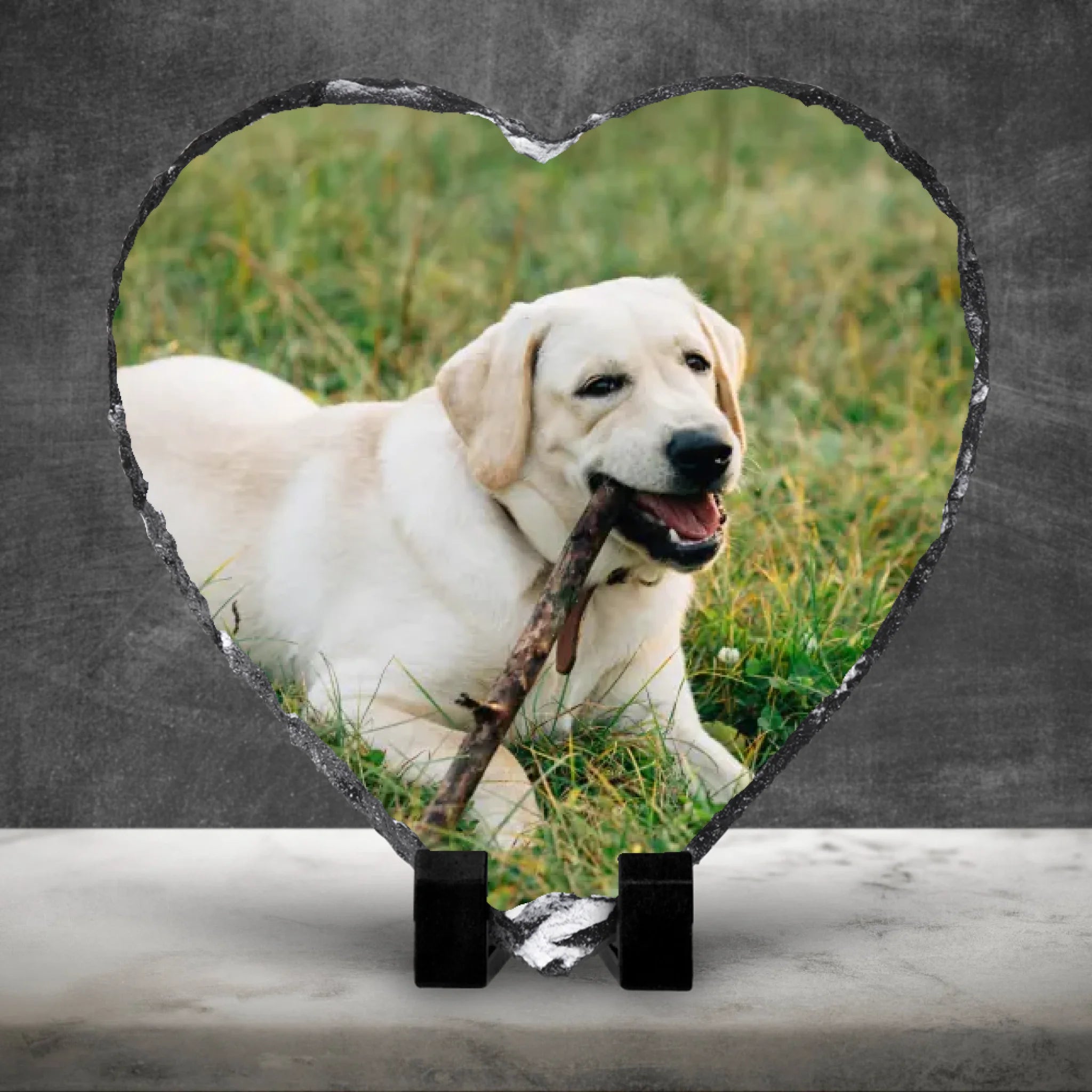 dark-cement-wall-with-white-marble-floor-product-background