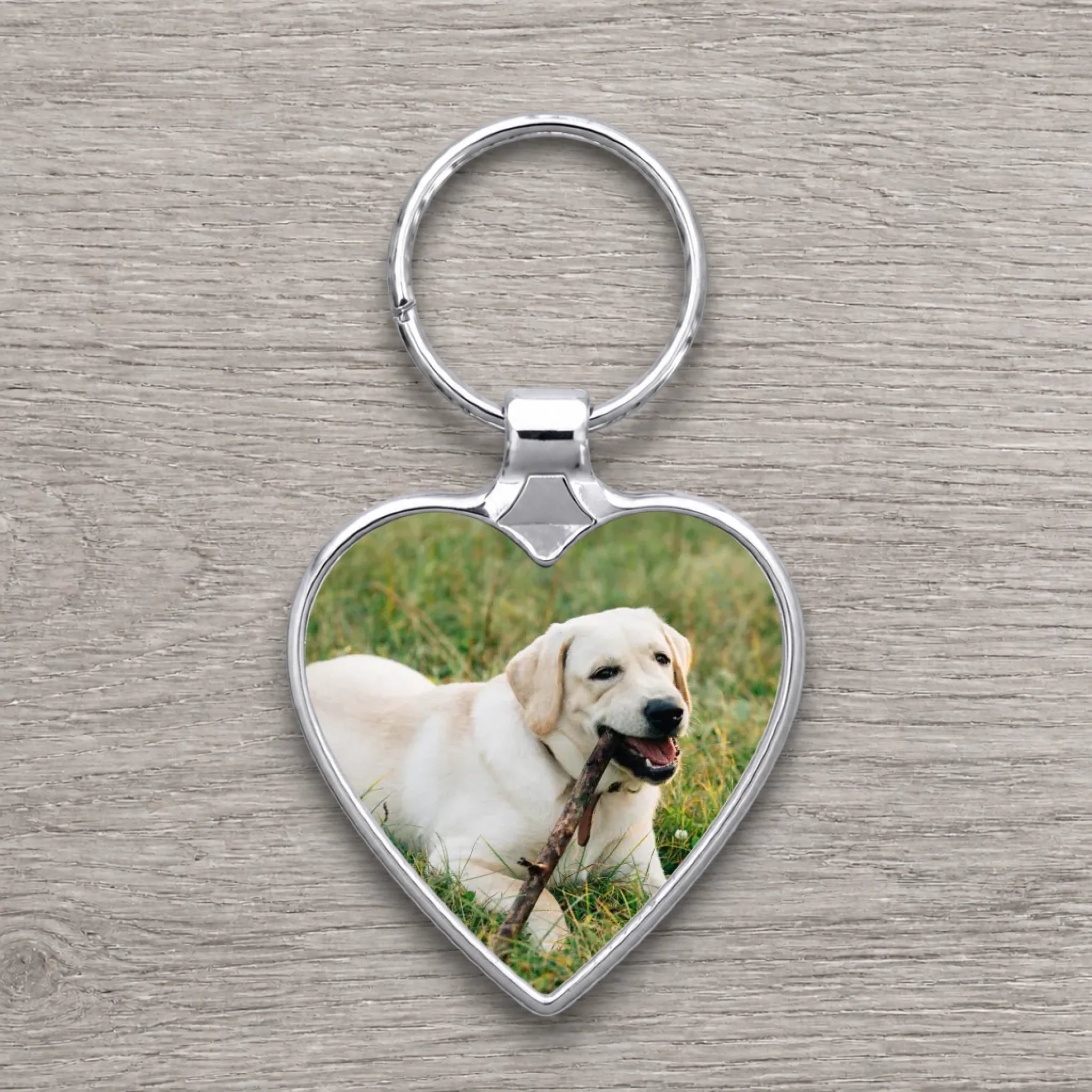 Silver heart-shaped personalised photo keyring printed with a yellow Labrador lying on grass chewing a stick.