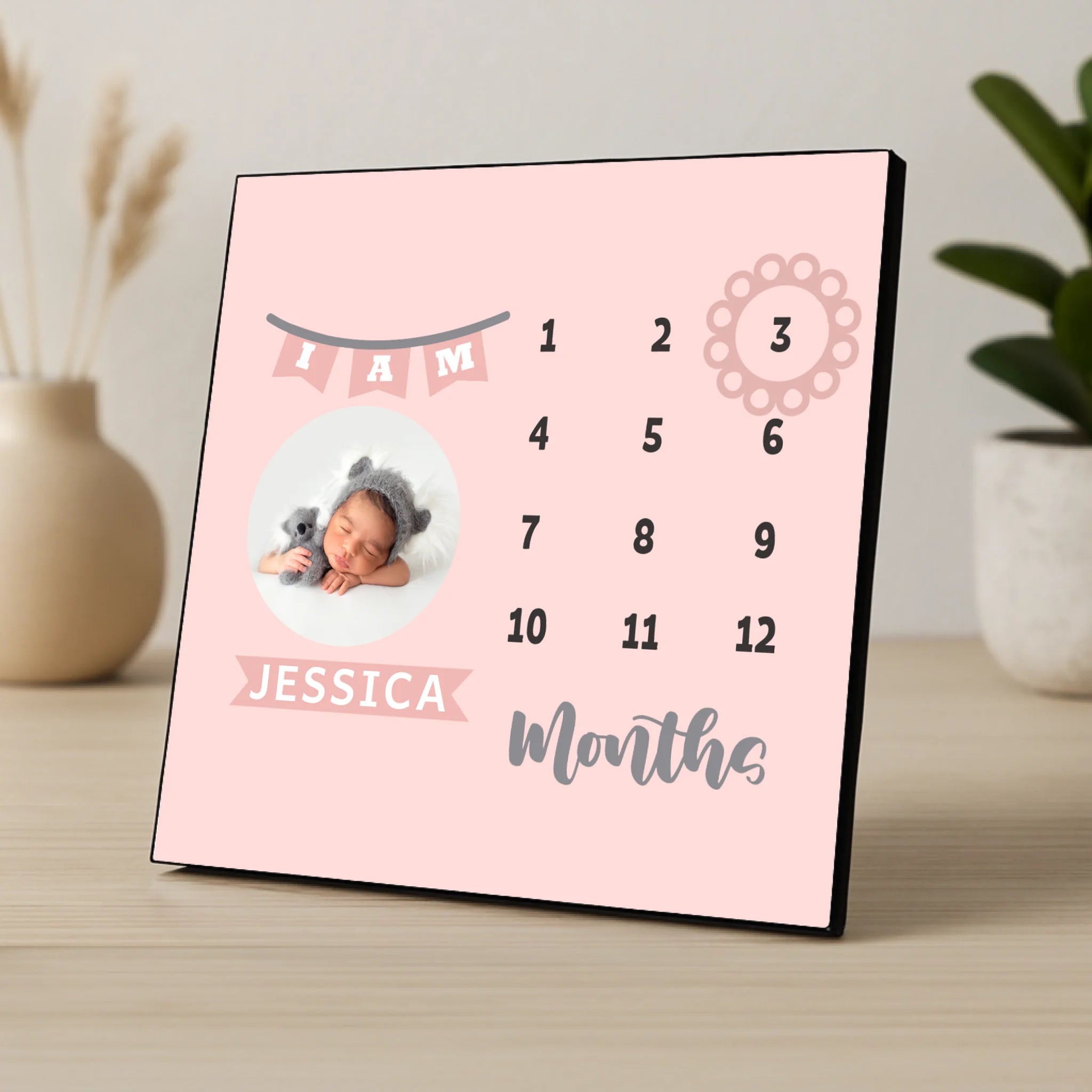 Custom Personalised Baby Milestone Photo Panel - Baby Girl - Pink