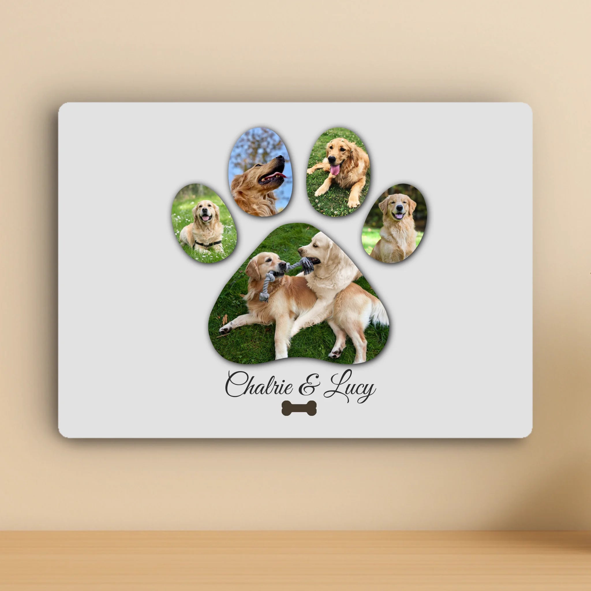 Custom Personalised Pet Paw Print Metal Photo Panel - 5 Photos - Custom Background Colour