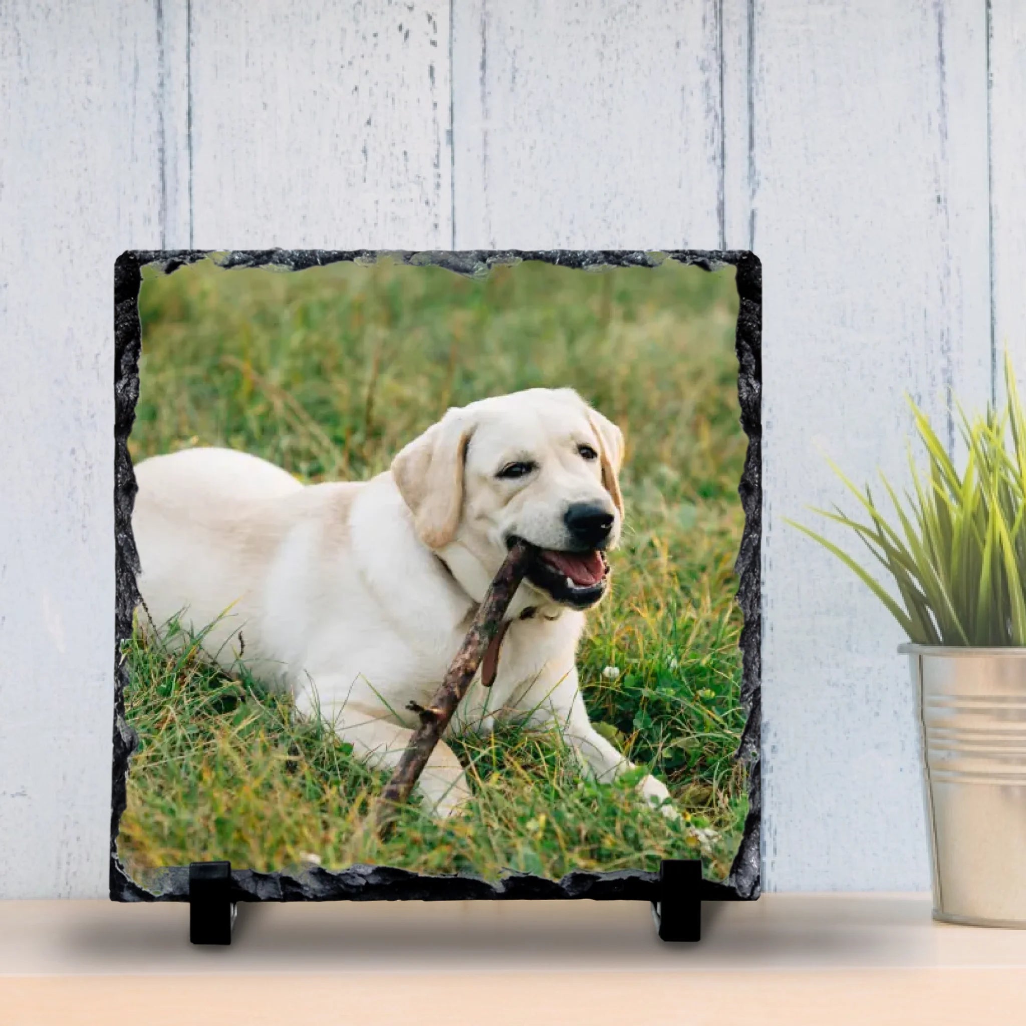 Custom Personalised Photo Slate With Pet Photo