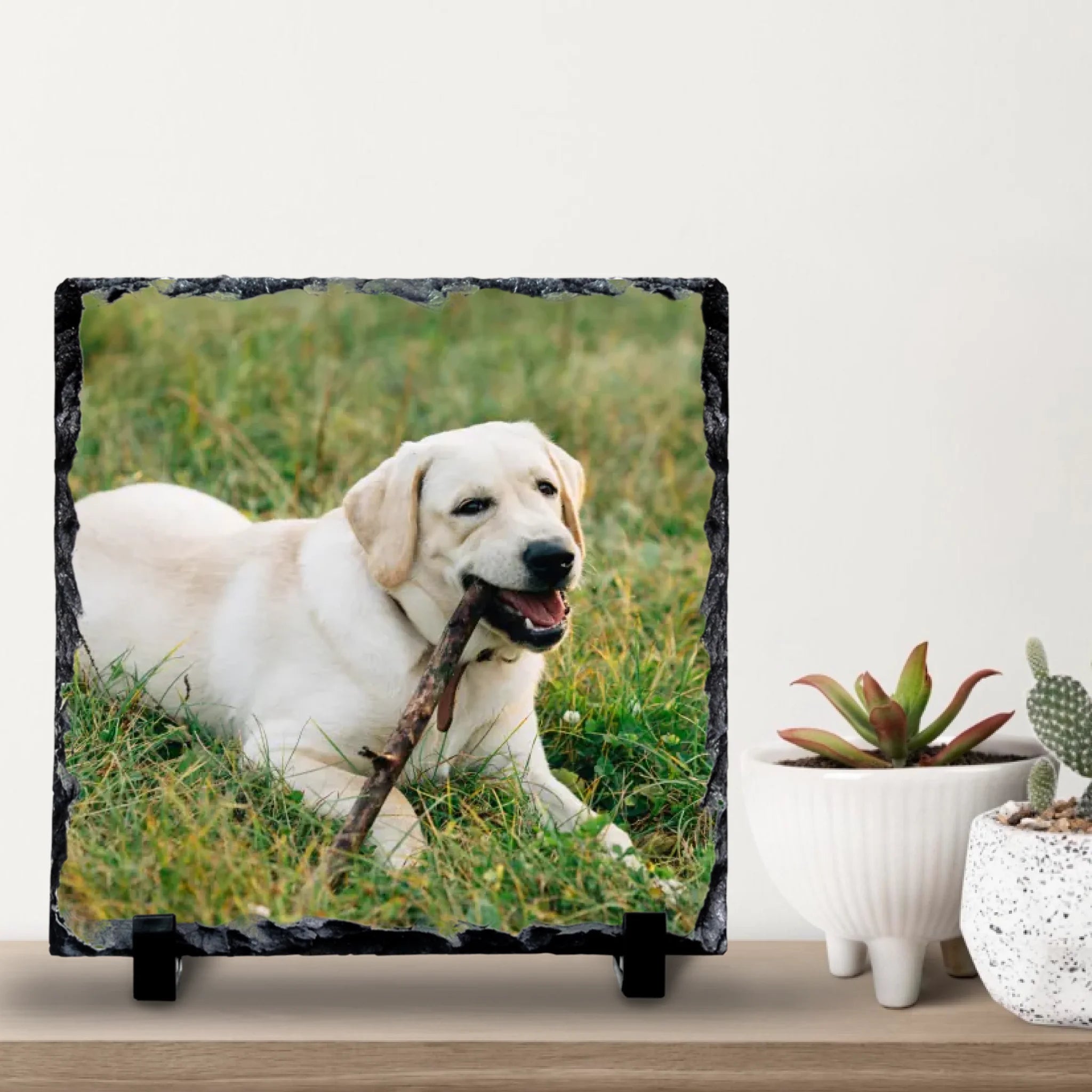 Custom Personalised Photo Slate With Pet Photo