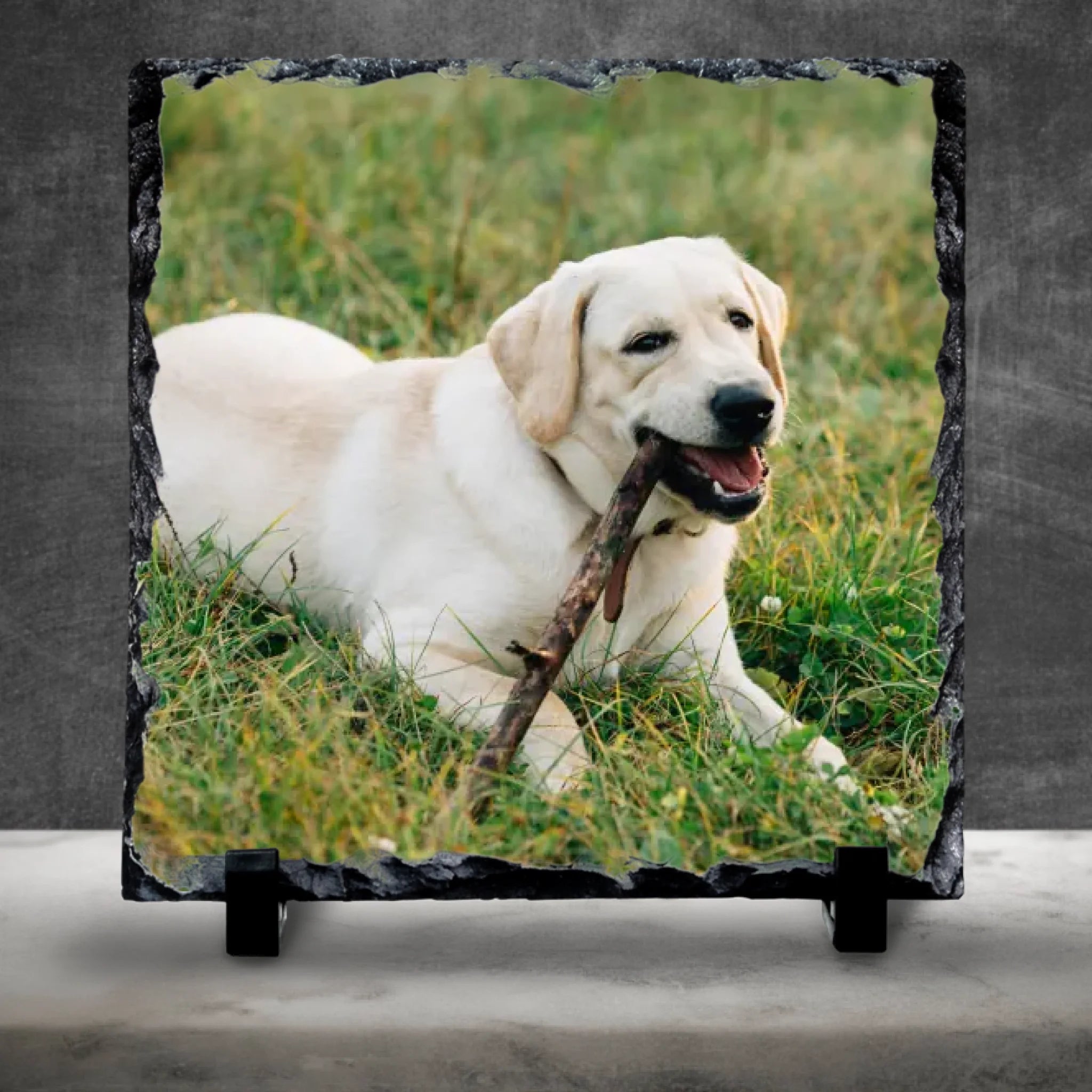 Custom Personalised Photo Slate With Pet Photo
