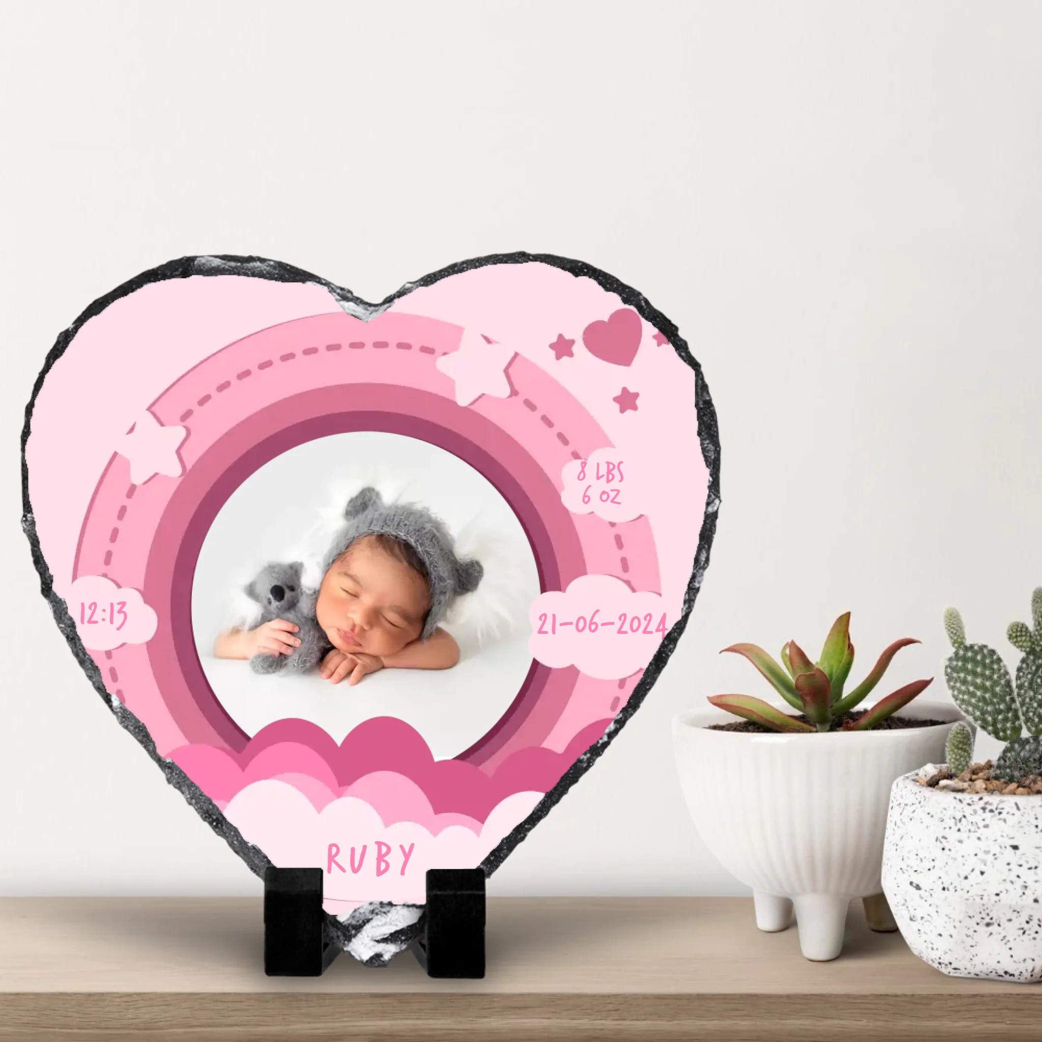 small-cacti-with-white-wall-background