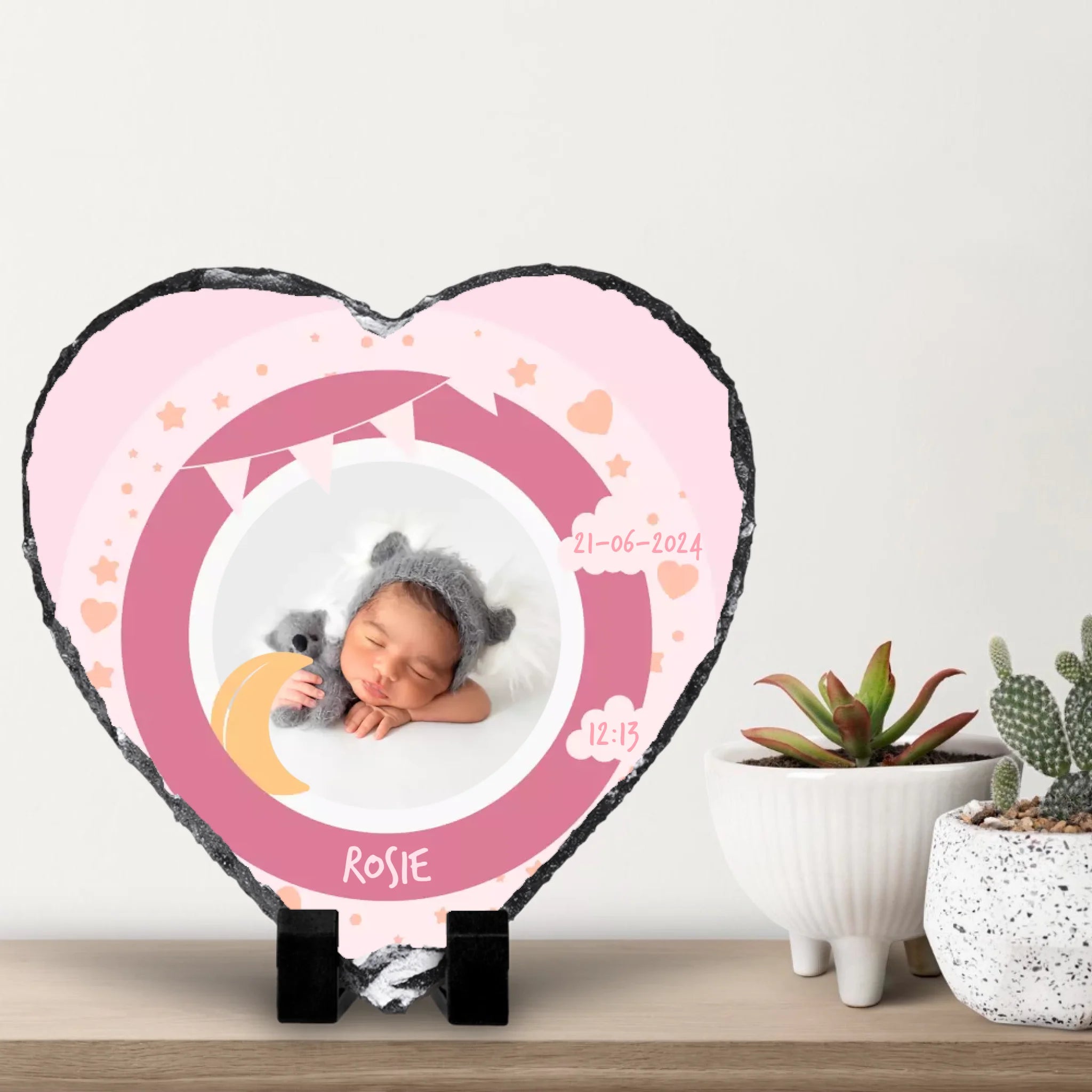 small-cacti-with-white-wall-background