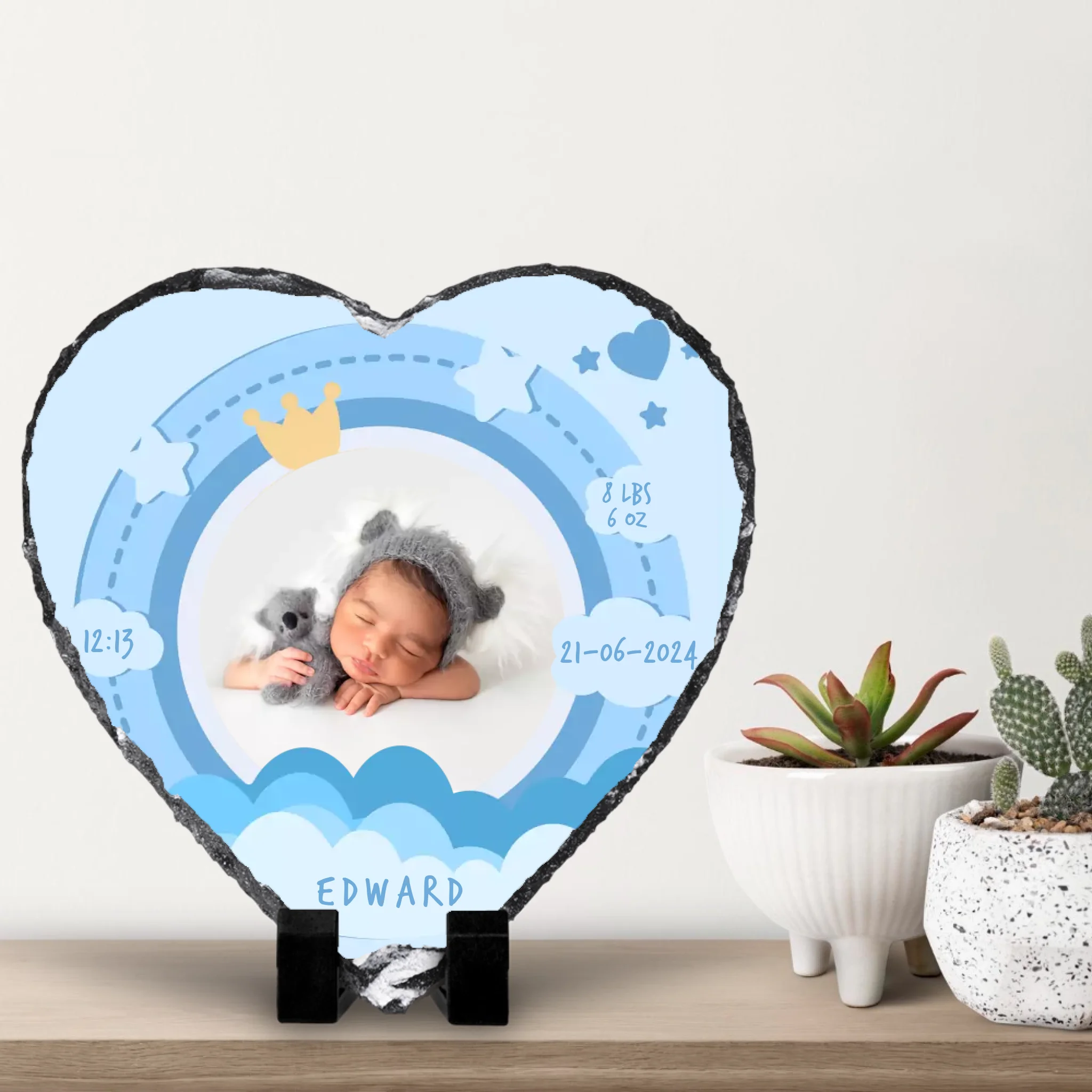 small-cacti-with-white-wall-background