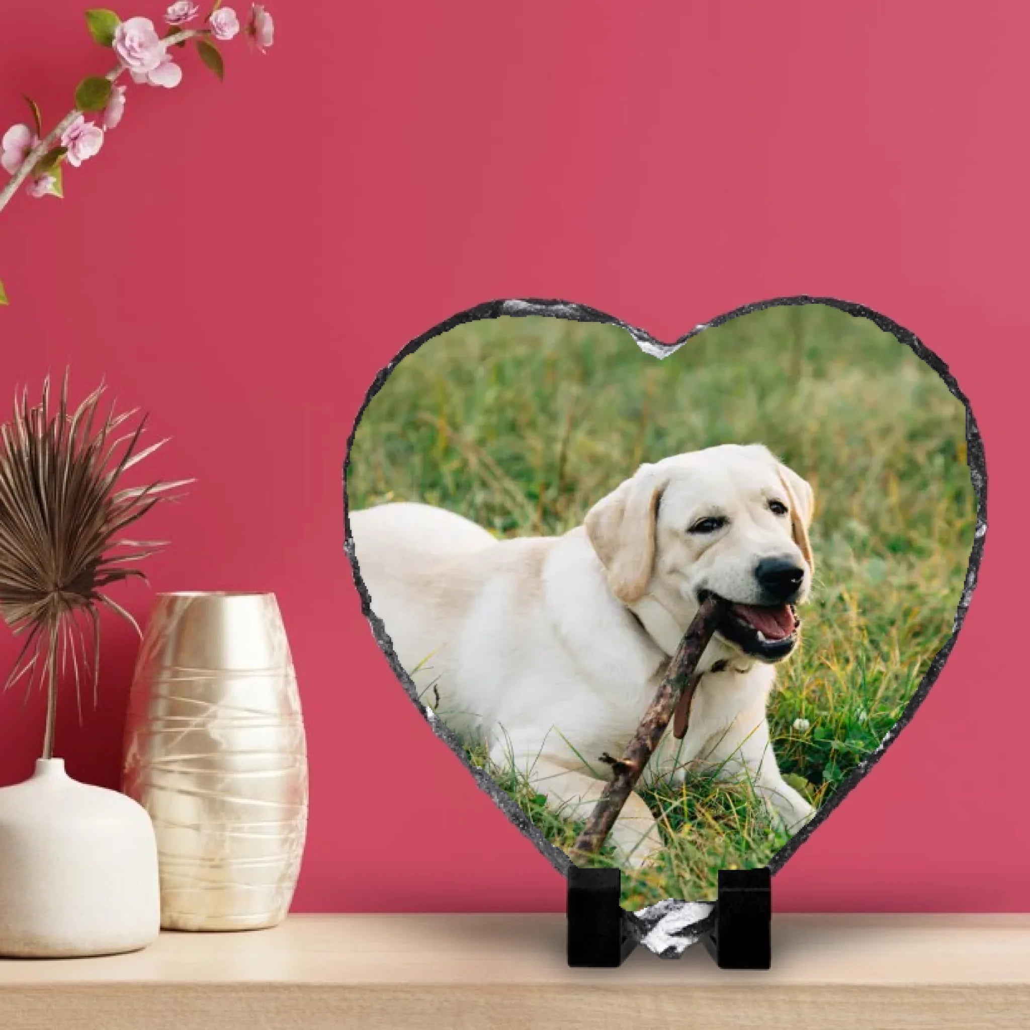 viva-magenta-wall-panelling-with-wooden-shelf-kitchen-room