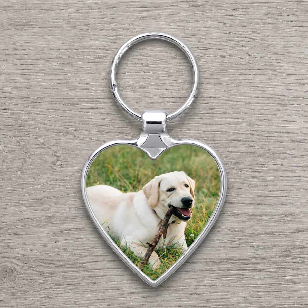 Silver heart-shaped personalised photo keyring printed with a yellow Labrador lying on grass chewing a stick.