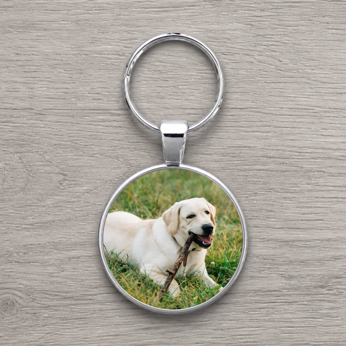 Silver round personalised photo keyring printed with a yellow Labrador lying on grass holding a stick in its mouth.